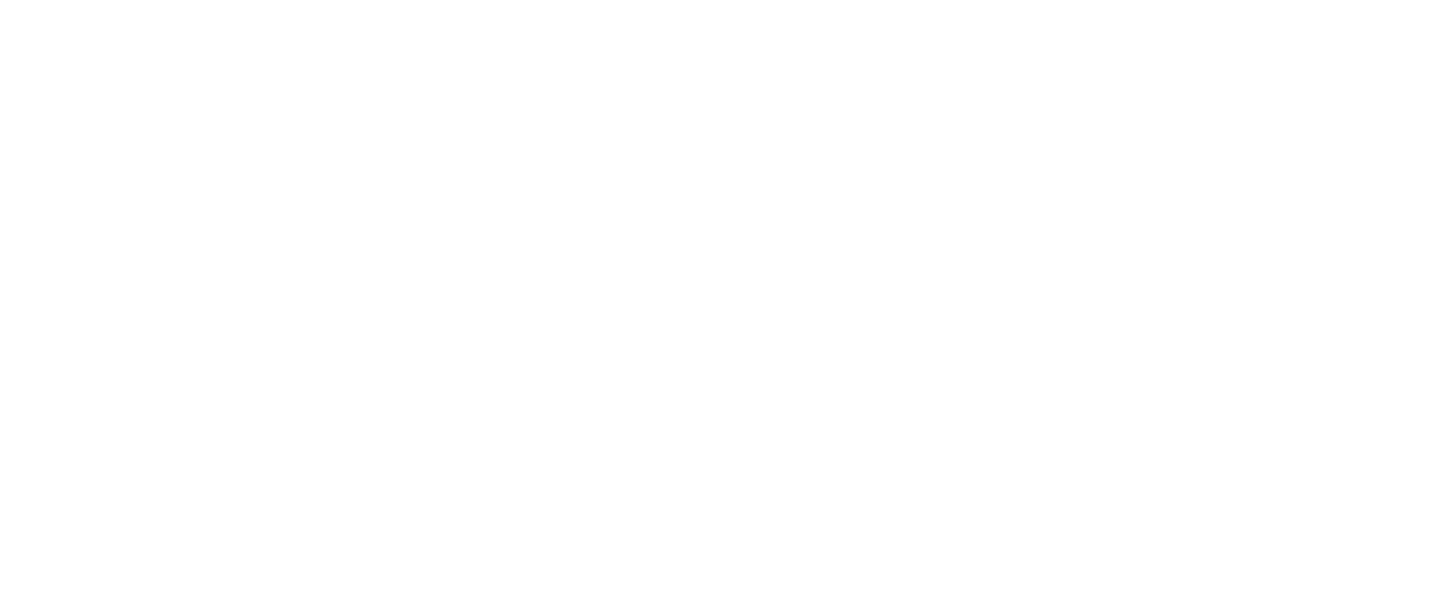 Bitt Channel Logo